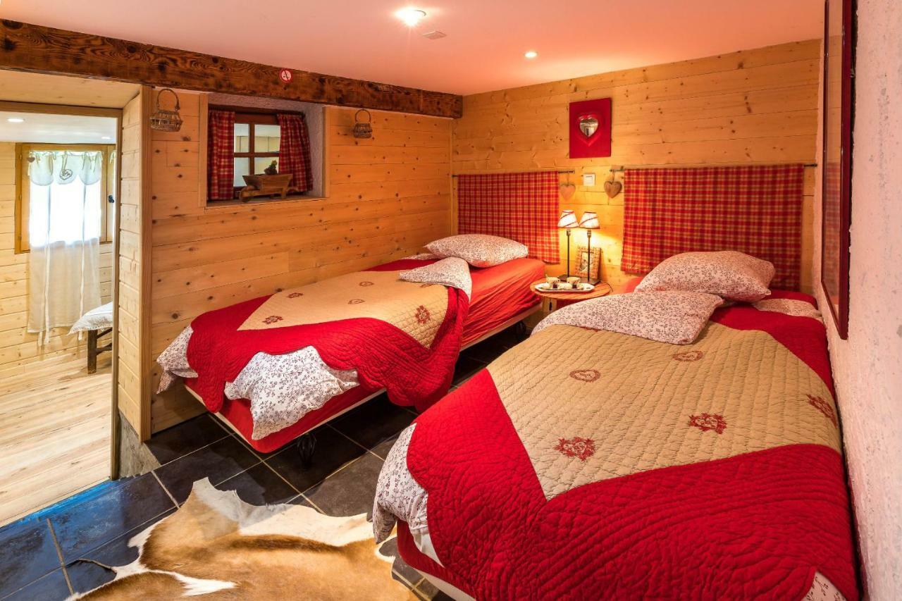 Gite&Spa Le Montagnard Saint-Jean-Saint-Nicolas エクステリア 写真