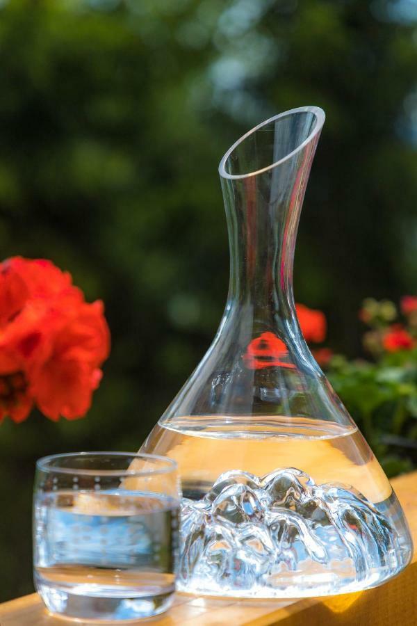Gite&Spa Le Montagnard Saint-Jean-Saint-Nicolas エクステリア 写真